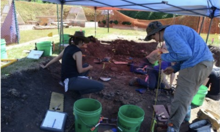 HUCAS Excavations at 830 Simpson site (ANTH 3810)