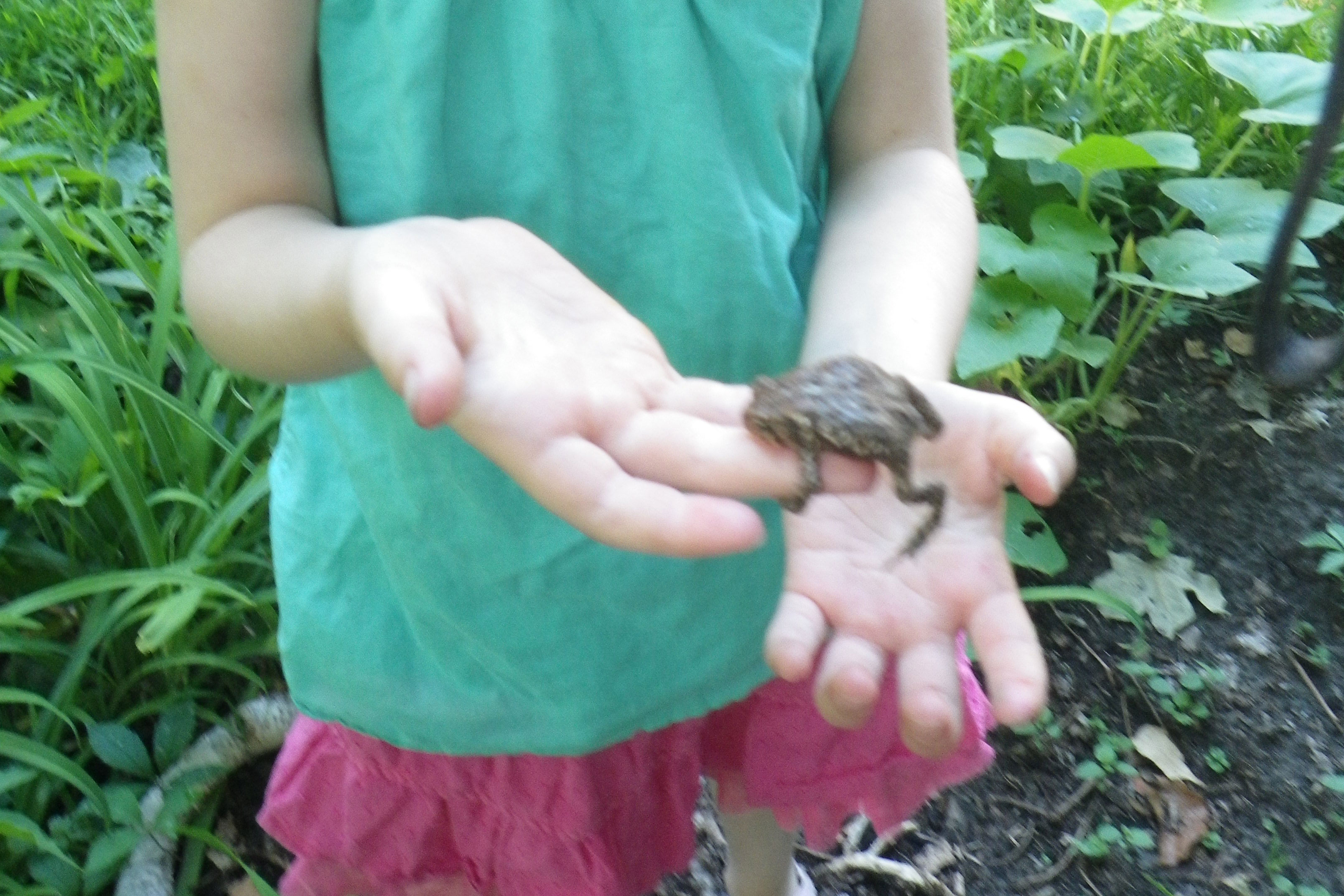young child holding toad