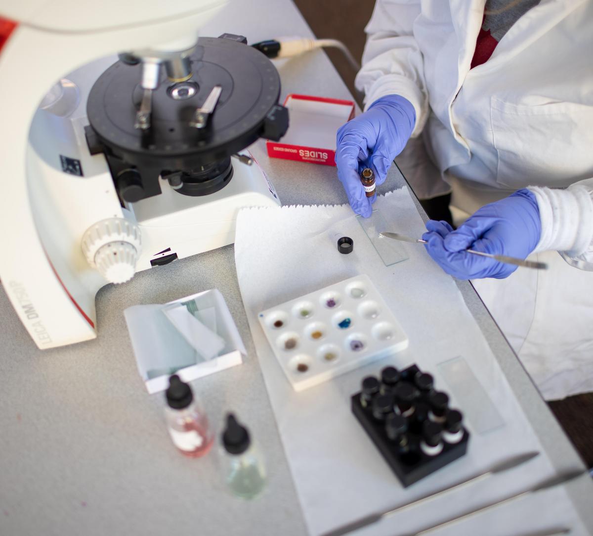 Forensic Science Major (BS) Hamline University Minnesota Forensic Science Major (BS) Hamline University Minnesota