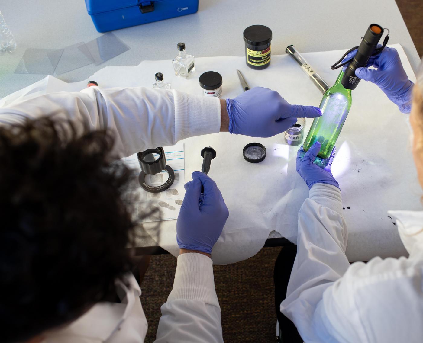 forensics examining evidence