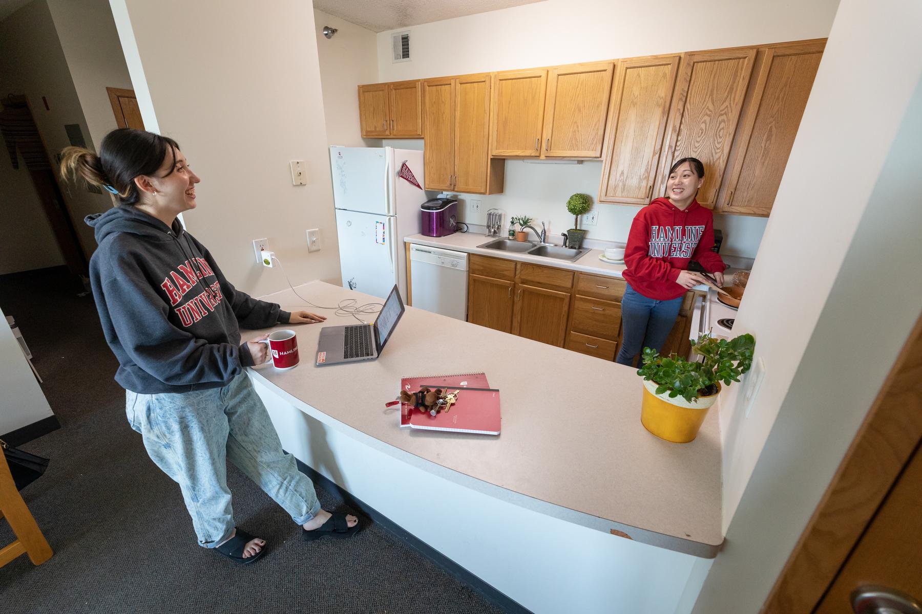 Apartments Near Hamline University