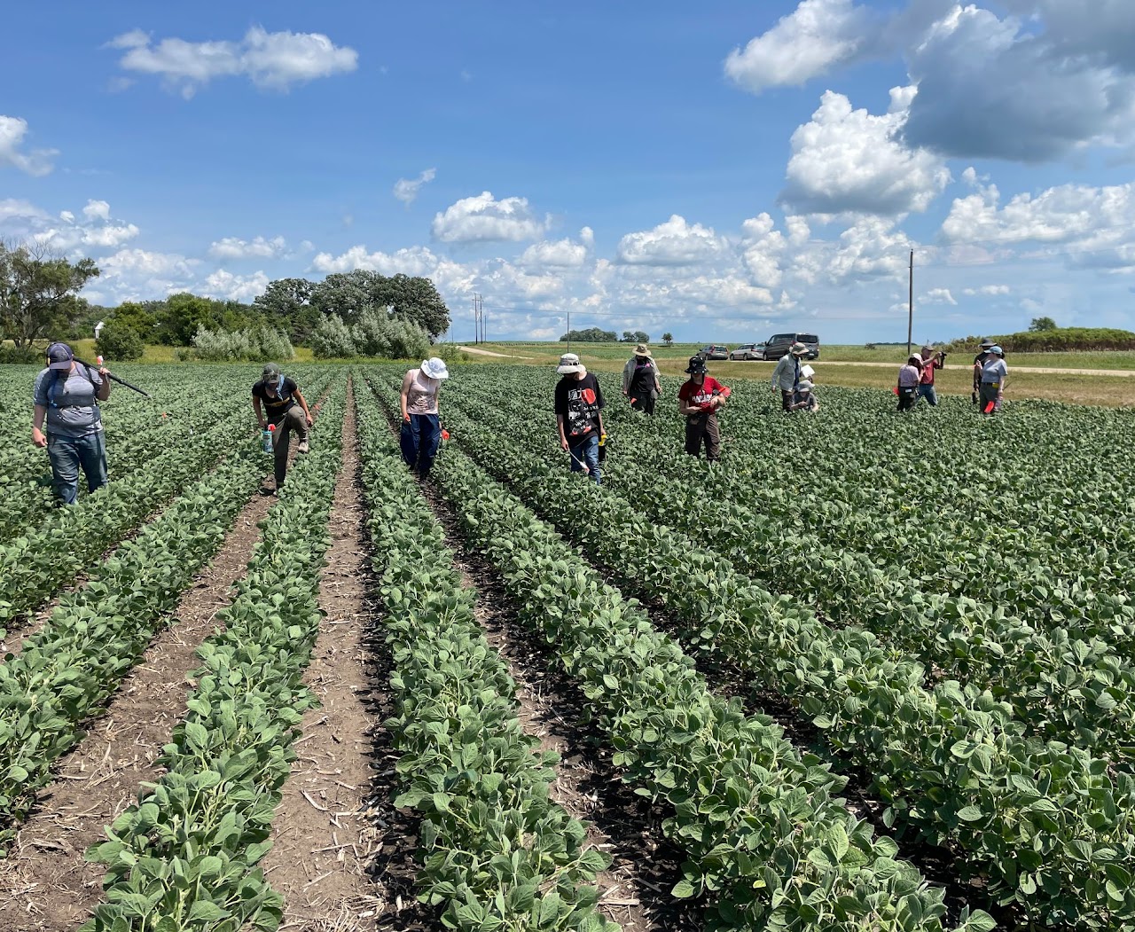 HUCAS staff working in Mower County