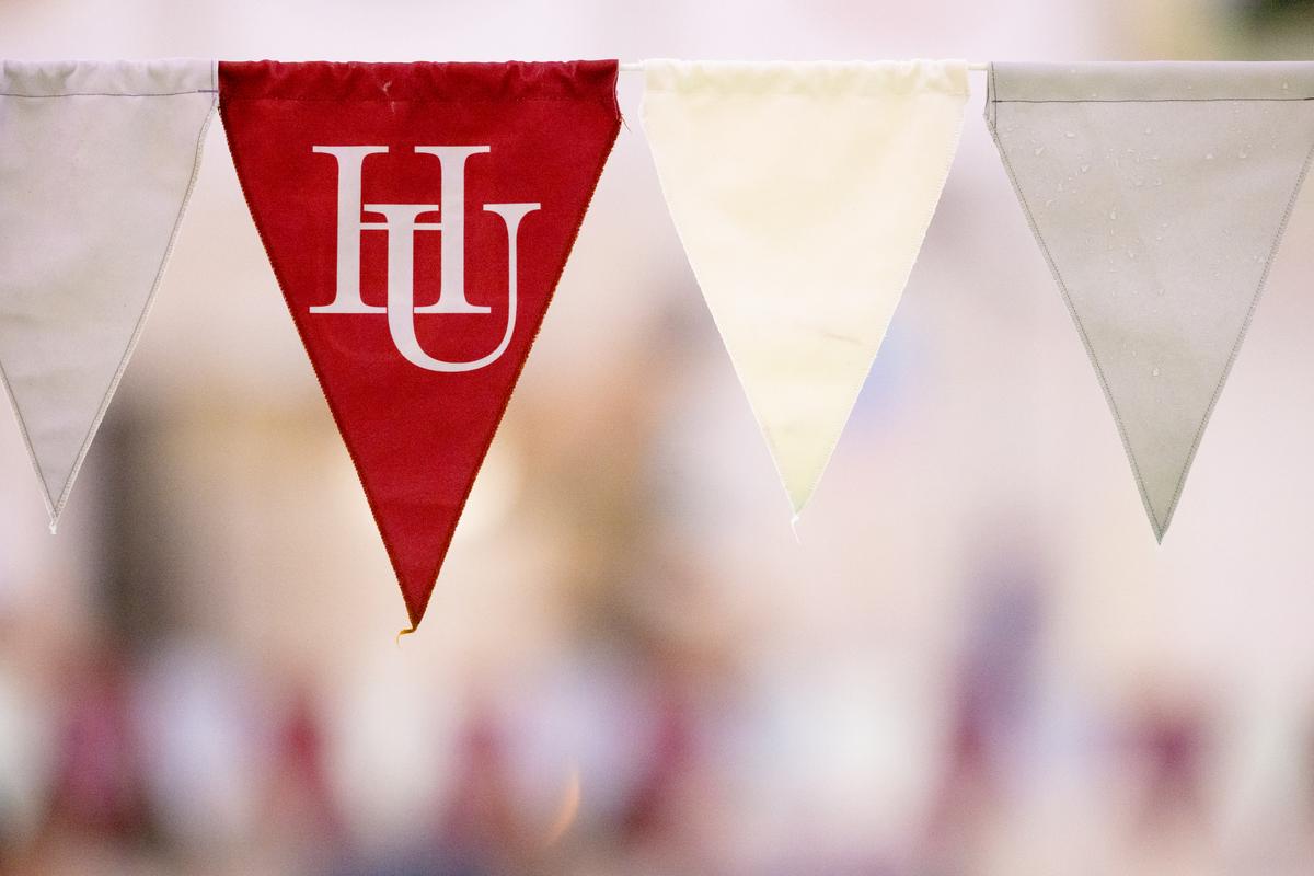 Hamline University flag