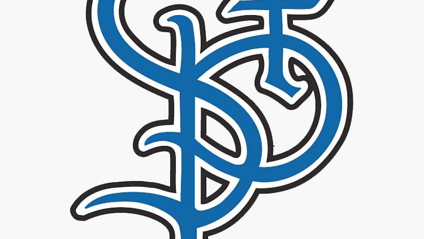 Saints logo