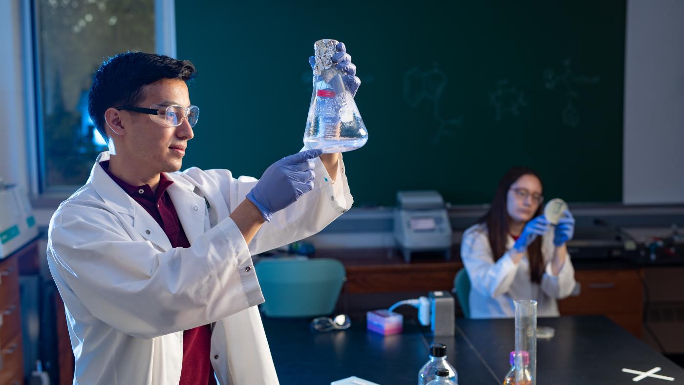 Hamline students in a lab