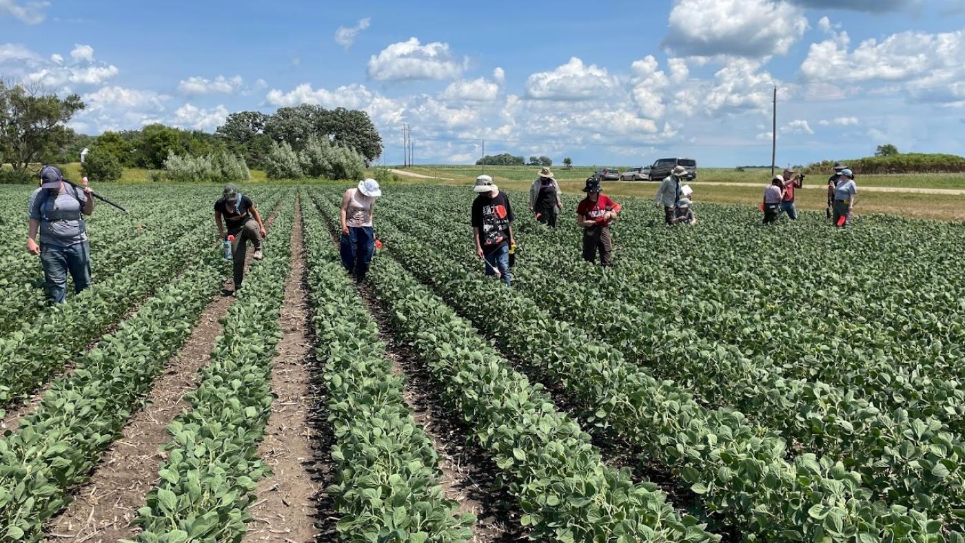 HUCAS staff working in Mower County