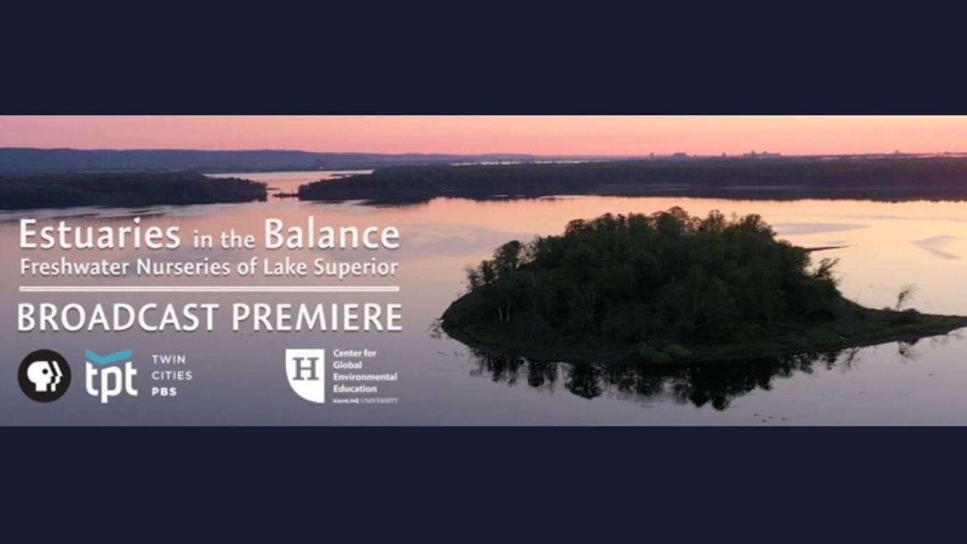 estuaries in the Balance