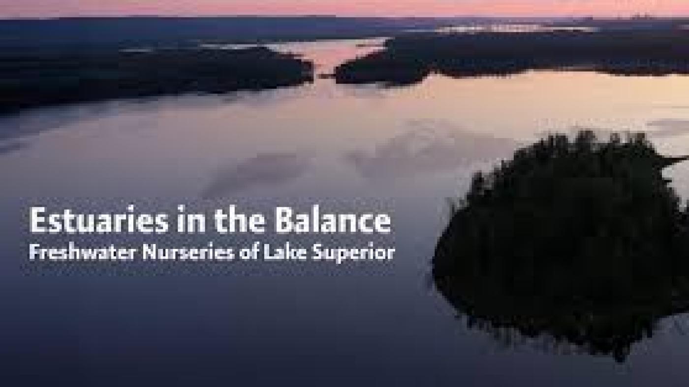 CGEE estuaries in the balance