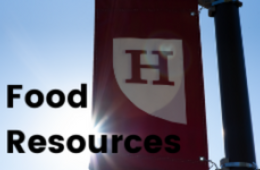 Picture of a Hamline banner with the words food resources overlaying it