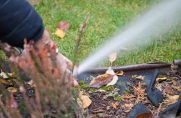 Sprinkler