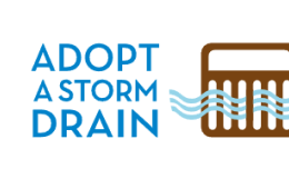 Hamline faculty present on water protection