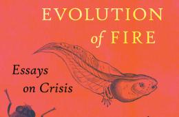 Book evolution of fire