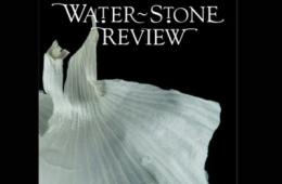 Water Stone review