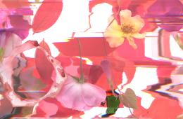 Visiting artist Regan Golden artwork