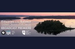 estuaries in the Balance