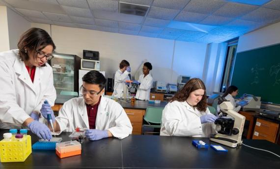 Hamline Undegraduate students in a a classroon