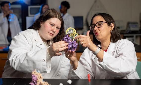 Student and professor holding a scientific model while looking and talking about it