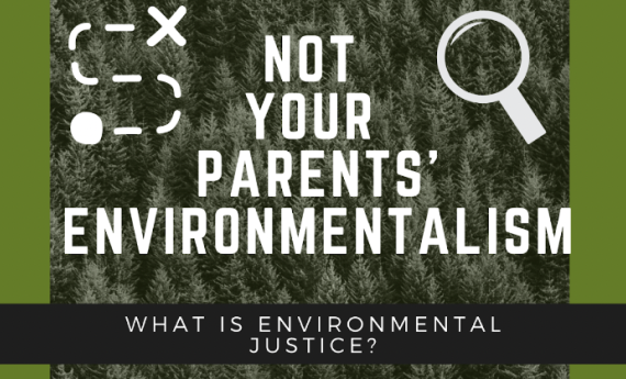 Not Your Parent's Environmentalism, Hamline Oracle article by LaNiesha Bisek