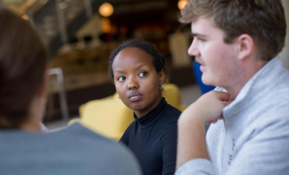 Hamline students studying together