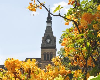 Spire of Old Main with orange flowers