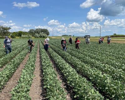 HUCAS staff working in Mower County