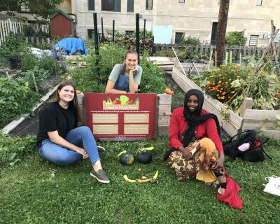 Hamline MicroFarm
