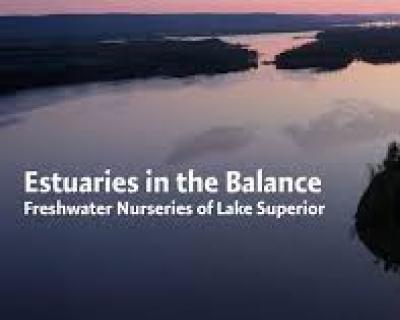 CGEE estuaries in the balance