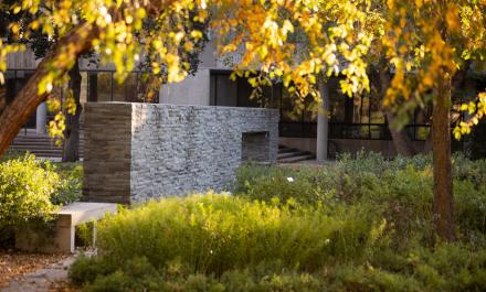 Blue Garden at Hamline