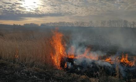 Ulland Burn, Center for Anthropological Services (HUCAS)