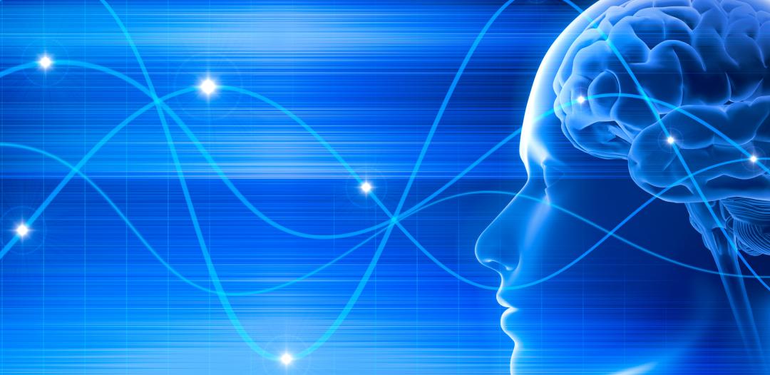 stock image of brain and waves, psychology at Hamline