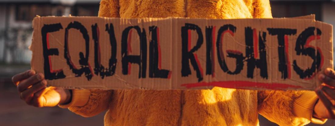 Person holding cardboard sign with equal rights written on it