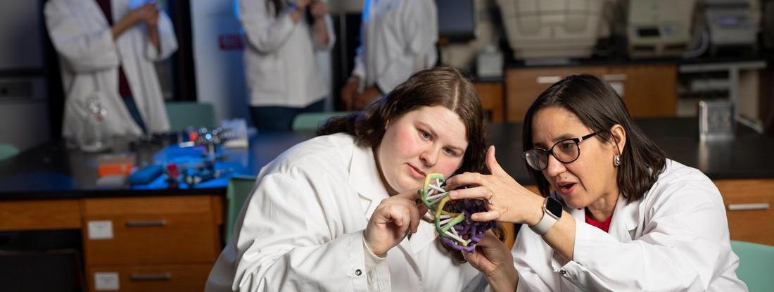 Hamline Student and Professor holding and looking at a molecular model