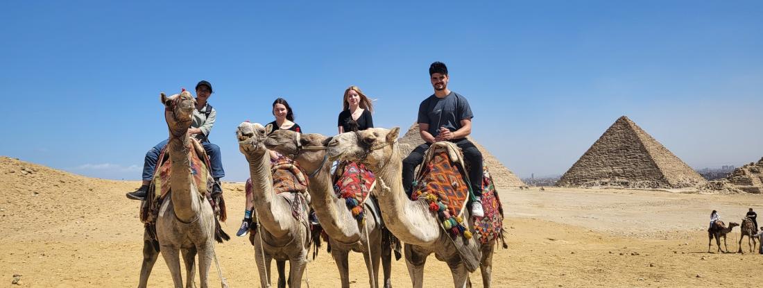 Students riding on Camels in front of the pyramids in Egypt