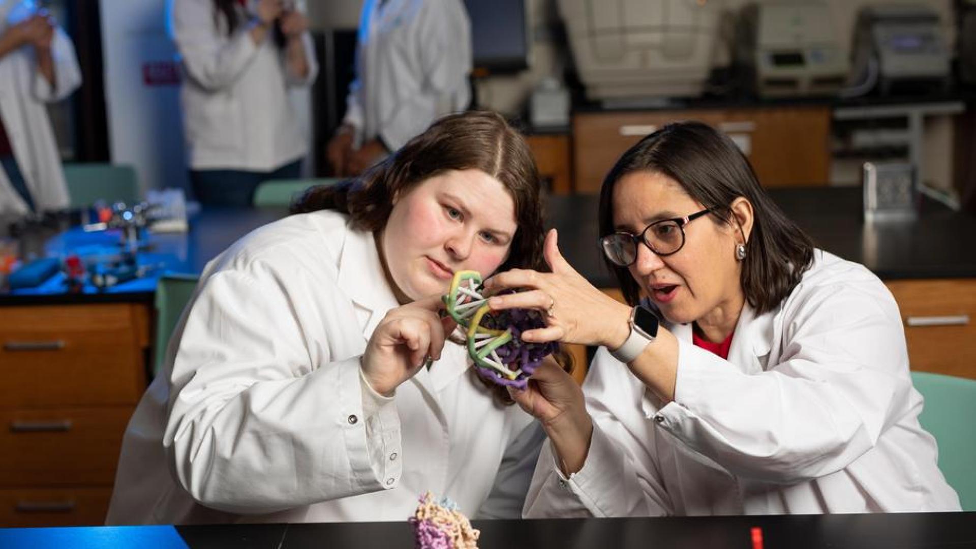 Hamline Student and Professor holding and looking at a molecular model