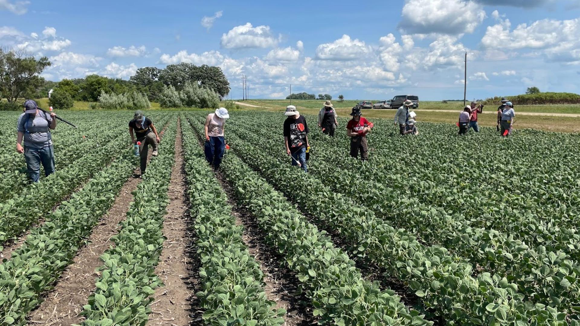 HUCAS staff working in Mower County