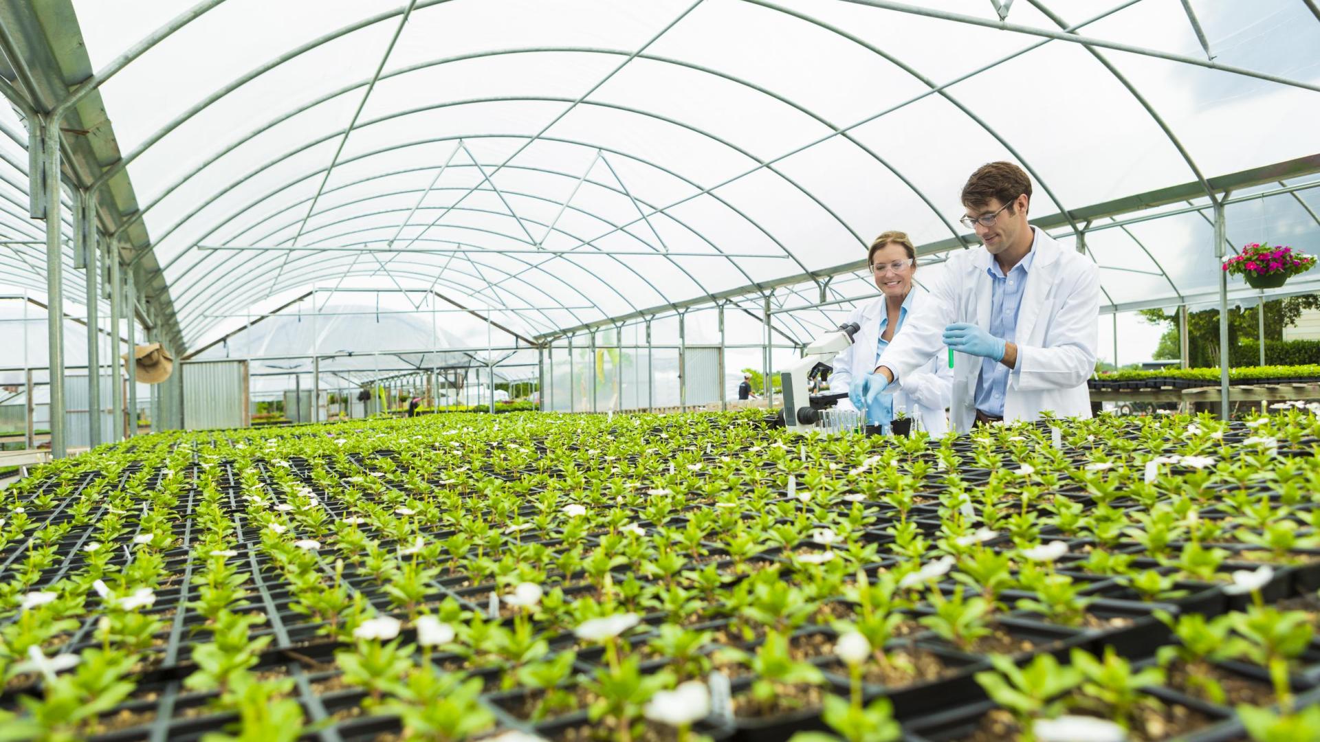 stock photo of two people in greenhouse